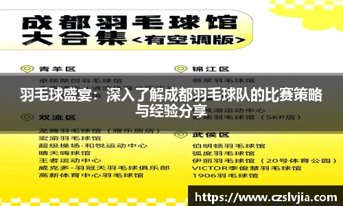 羽毛球盛宴：深入了解成都羽毛球队的比赛策略与经验分享