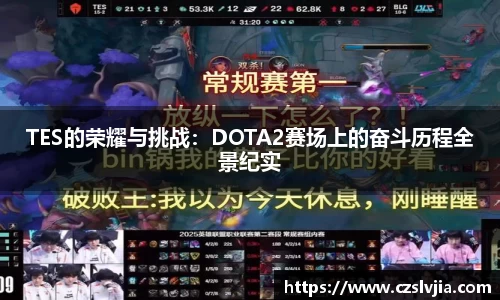 TES的荣耀与挑战：DOTA2赛场上的奋斗历程全景纪实